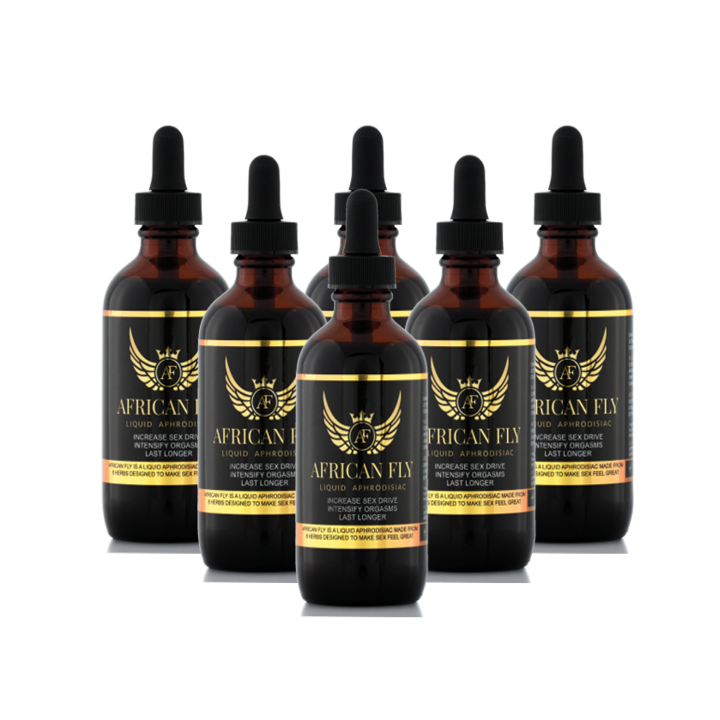 6 Pack of African Fly